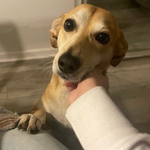 Meet your Posher, Alana